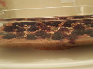 Porridge blackberries Red beet