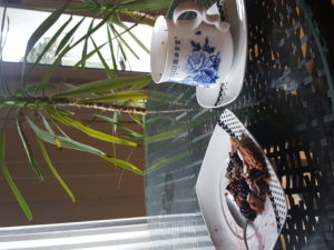 Mirabelle Green tea and porridge blackberries and red beet