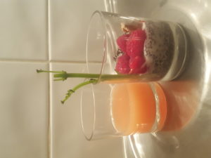 Grapefruit juice. 2 phases: Pudding chia + Raspberry fig jams with Mallorcan almonds, chive