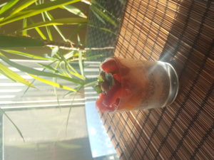 3 phases: Pudding chia + muesly banana coconut + Melon and strawberry marmalade + pistachio almond and mint