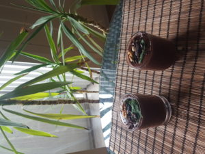 Lovely afternoon snack with your loved company : pure cocoa mustard with cacao nibs and mint