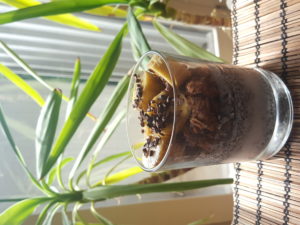 3 phases gourmand and healthy : chia pudding with creamy fresh pressed coconut milk + chocolate crunchy oat muesli + banana and cacao nibs 