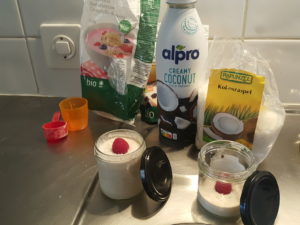 Coconut and oatmeal custard