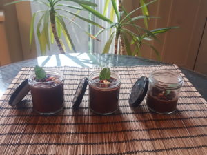 Cocoa custard : cocoa, creamy fresh pressed coconut milk, one tea spoon cornflower. Topping :cacao nibs, walnuts, pure cocoa powder, marroquin mint leaves from the garden