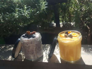 Mango custard : soy yogurt, very sweet organic mango. Topping dried mango, pistaccio, pumpkin seeds. Blueberries custard : soy yogurt, blueberries. Topping dried blueberries, aronia berries, nutmeg, pecan nuts