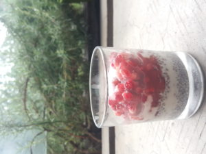 Pomegranate and creamy caramelized toasted almond milk chia pudding 