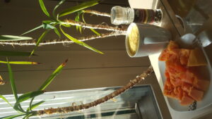 Papaya and pineapple shake with chocolate pepper 