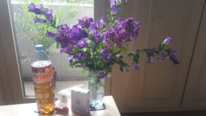 Oolong tea with goji berries (cold in fridge when very hot weather). Research shows that the nutrients in oolong tea have stronger antioxidant and antimutagenic effects than green or black varieties. Research shows that the polyphenols in oolong tea lower blood sugar levels. 