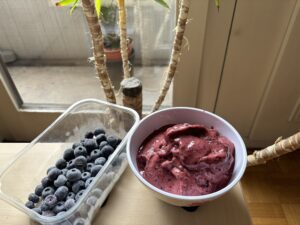 Blueberry ice cream. Frozen blueberries, almond milk, stevia. Full of vitamin C to prevent colds.