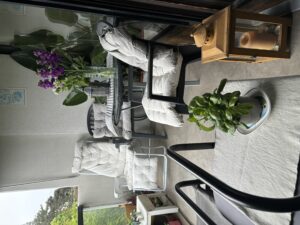 Basil growing at home for plenty of recipes